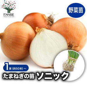 y}\N[|zzzʂ˂c iF\jbN (  ) ؂̕c 50{  ʂ˂ ʔK ^}lM ܂˂ K c ʂ˂̕c ؕc K[fjO ƒ؉ ȒP͔| x