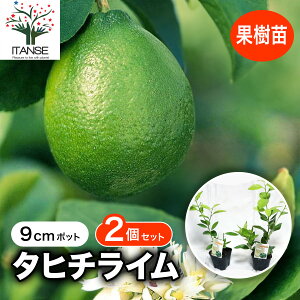 yz^q`C ʎc 9cm|bg}ؕc 2Zbg Cc x_ c k EG   ~J _ _ In V{c[ ϊ ƌ  