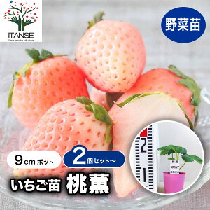 y}\N[|zzz̕c O ؂̕c 9cm C`Sc C`S̕c 䕕c 䕂̕c Â  x Xgx[c  [