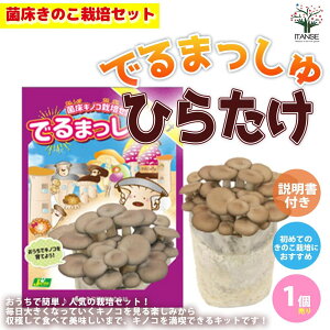 yzۏ͔̂|Zbg"ł܂"Ђ炽 ؂̕c ZbgeFЂ炽ۏubNAyAArj[ 1 LmR ̂ ͔|Lbg v[g 