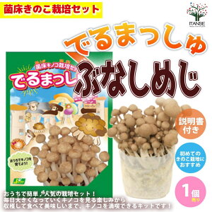 yzۏ͔̂|Zbg"ł܂"ԂȂ߂ ؂̕c ZbgeFԂȂ߂ۏubNAyAArj[ 1 LmR ̂ ͔|Lbg v[