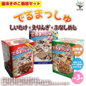 yzۏ͔̂|Zbg"ł܂"  ԂȂ߂ ؂̕c 3Zbg LmR ̂ ͔|Lbg v[g Mtg  [