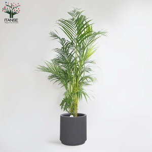 AJV Iׂ锫Zbg ^ ϗtA 8 1 rO ItBX  CeA  K[fjO S Ă₷ j j Vzj zj j Mtg v