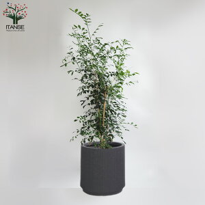 yzVNWX~ ^ ϗtA 7 1 rO ItBX  CeA ^  S Ă₷ K[fjO j j zj v[g lC i 