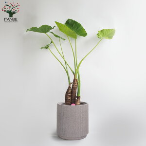 yzNYC ϗtA 7vX`bN ^ 1 ϗtA rO ItBX  CeA ^  IV Ă₷ j j Vzj v[g 