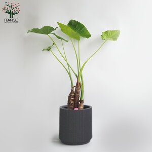 yzNYC ϗtA 7vX`bN ^ 1 ϗtA rO ItBX  CeA ^  IV Ă₷ j j Vzj v[g 