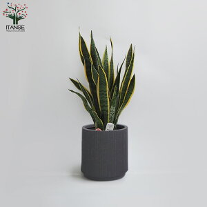 yzTXxA [eB[ ^ ϗtA 7 1 rO ItBX  CeA ^  S Ă₷ K[fjO j j Vzj zj 