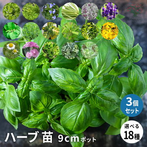 yzIׂn[uc 3Zbg 3|bg A}eBJX [}J~[ [Y}[ OX YC[ x_[oW z[[oW t`^S n