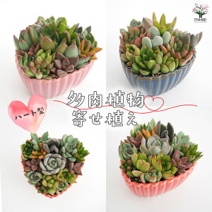 yzA 񂹐A A n[g A 񂹐A K[fjO rO ItBX  CeA  [