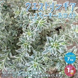 yzEGXgMAX[L[zCg  7 1 EGXgMA I[XgA[Y}[ ~gubV  ڂ v  Β  [