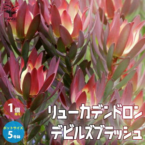 yz[Jfh frYubV  Ԗؕc5 1 [Jfh EJfh }KV MEW t v  Β  [