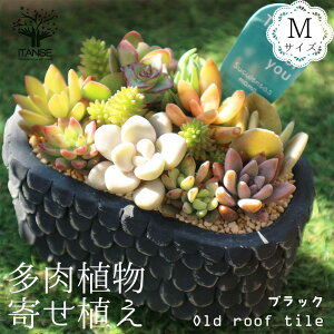 yzA 񂹐A Old roof tile M ( mق̌Â M ) A TCYC[W:12cm×14cm×s9cm 1 A 񂹐A w I[hnEX [X 