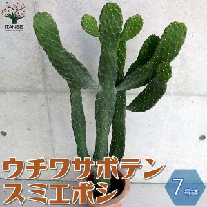 yzE`T{e X~G{V"nGXq" rOItBXTCY T{e A 7 1 T{e ڂĂ l A ϗtA rO ItBX  