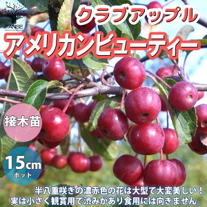 ySSԑSi10OFFzAJr[eB[ NuAbv  5ږؕc ږؕc 1 PS ̂炵 ԑ Ђ߂ S [X t[AWg crabapple x
