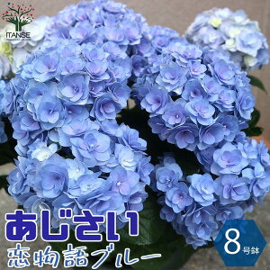 アジサイ 苗の人気商品 通販 価格比較 価格 Com