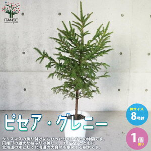 yzsZA Oj[ ( AJG]}c )  뉀 8 c 1 AJG]}c sZA Oj[ |i J[[t K[fjO  [