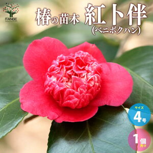 yz ( coL ) ̕c i:gm ( xj{Nn )  4|bgc 1 coLc coL̕c ֕c ւ̕c Ζ t ( ΂ )  ( ₫ ) Ԓd {뉀