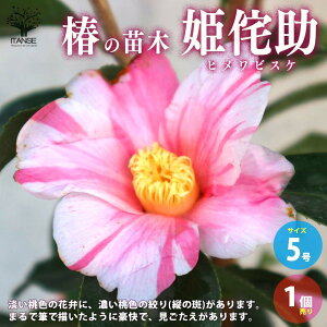 yz ( coL ) ̕c iFP̏ ( qrXP )  5 1 coLc coL̕c ֕c ւ̕c  [