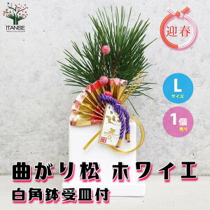 yzȂ菼 zCG u}tv̏t  p 󂯎Mt 1 A ϗtA j N }t ~͎d ̖ ܂̂ Pinus ~j~  [