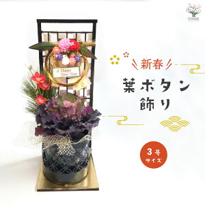 yz }tߏ ԕc 3 1 ( TCYC[W:36cm×25cm×s19cm ) G߂̊񂹐A   叼 }t  A 񂹐A AW _X