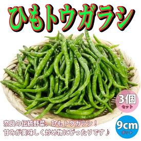 楽天市場 青 唐辛子 苗 花 ガーデン Diy の通販