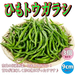 ySSԑSi10OFFzЂƂ炵  c9cm|bg 3Zbg gEKV hq 炵 Red pepper x_ In͔| x_؉  Vs nEX͔| XRB XRr 