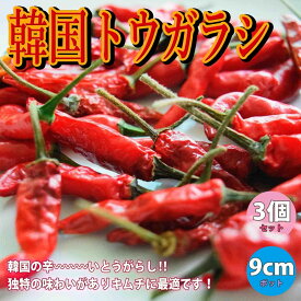 楽天市場 青 唐辛子 苗の通販