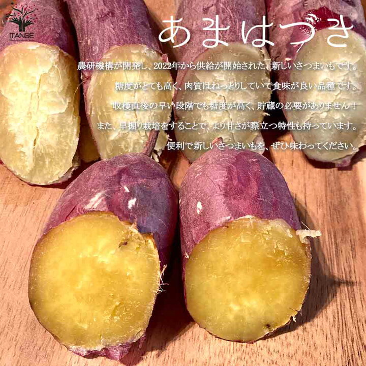 楽天市場】【送料無料】さつまいもの切苗 品種：あまはづき【野菜の苗 