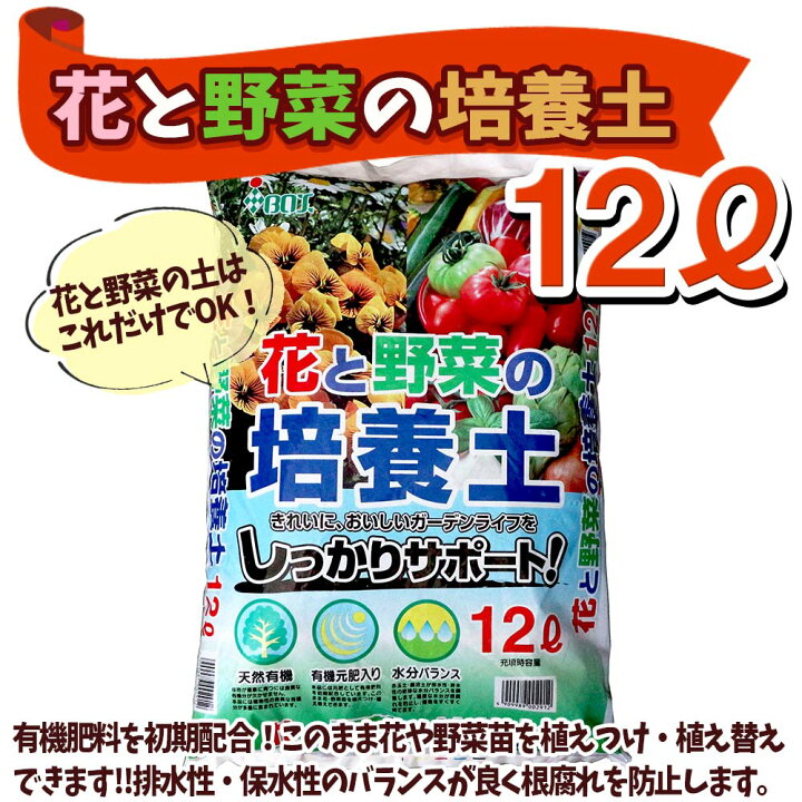 楽天市場】【送料無料】夏すずみ キュウリ お買い得！栽培セット【野菜 