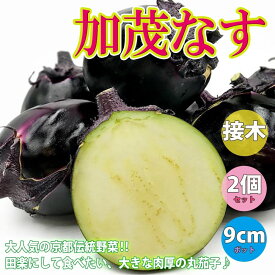 楽天市場 ベランダ菜園 セット 種類 植物 ナス の通販