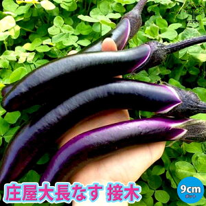 yz咷Ȃ ږؕc  ږؕc9cm|bg 2Zbg iXc Ȃc ؕc x_ In͔| x_؉ t Ė ڂؕc ږؖ c ֎q  iXr ߐ{ Ȃ 