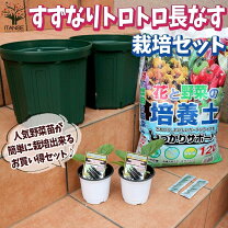 楽天市場】ベランダ 菜園 キットの通販