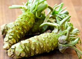 【ポイント2倍★マラソン期間】六方沢わさび 野菜苗 9cmポット 2個セット ワサビ苗 水陸両用 人気 品種 ベランダ 露地 畑 農園 香味野菜 根ワサビ 薬味 山菜苗 ハーブ 香辛料 スパイス 料理 畑わさび ( ハタケワサビ ) とは別品種 送料無料 即納