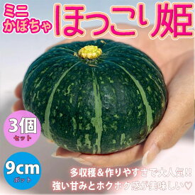 楽天市場 育て方 プランター ミニかぼちゃの通販