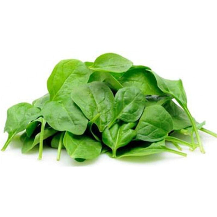 楽天市場 送料無料 つるむらさき 赤茎 青茎見計い混合 野菜苗9cmポット 3個セット ベランダ 露地栽培 ベランダ菜園 料理 レシピ モロヘイヤ ほうれん草 蔓紫 ツルムラサキ ツルムラサキ科 植物販売のitanse楽天市場店 楽天市場 送料無料 つるむらさき 赤茎 青茎見計い混合 野菜苗9cmポット 3個セット ベランダ 露地栽培 ベランダ菜園 料理 レシピ モロヘイヤ ほうれん草 蔓紫 ツルムラサキ ツルムラサキ科 植物販売のitanse楽天市場店
