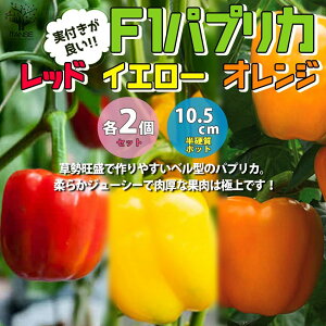 苗 パプリカの人気商品 通販 価格比較 価格 Com