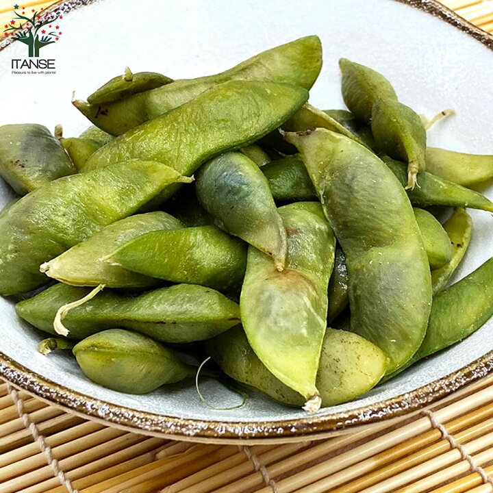 楽天市場 送料無料 丹波 黒大粒 枝豆 枝豆の苗 野菜の苗 10 5cmポット お買い得6個セット 枝豆苗 枝豆の苗 えだまめの苗 えだ豆の苗 大豆 豆類 野菜苗 簡単栽培 家庭菜園 植物販売のｉｔａｎｓｅ楽天市場店