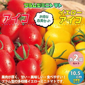 ミニトマト プランターの人気商品 通販 価格比較 価格 Com