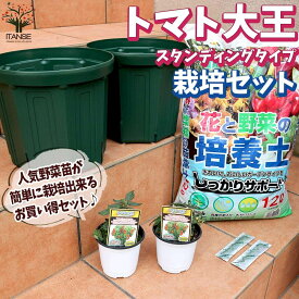 楽天市場 ベランダ菜園 キット トマトの通販