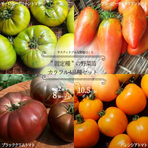 yzŒ̔g}g̕c10.5cm|bg Jt4ie2 v8Zbg Œؕc10.5cm|bg c ʃg}g ʃg}g g}gc ƒ؉ K[fjO x_ 