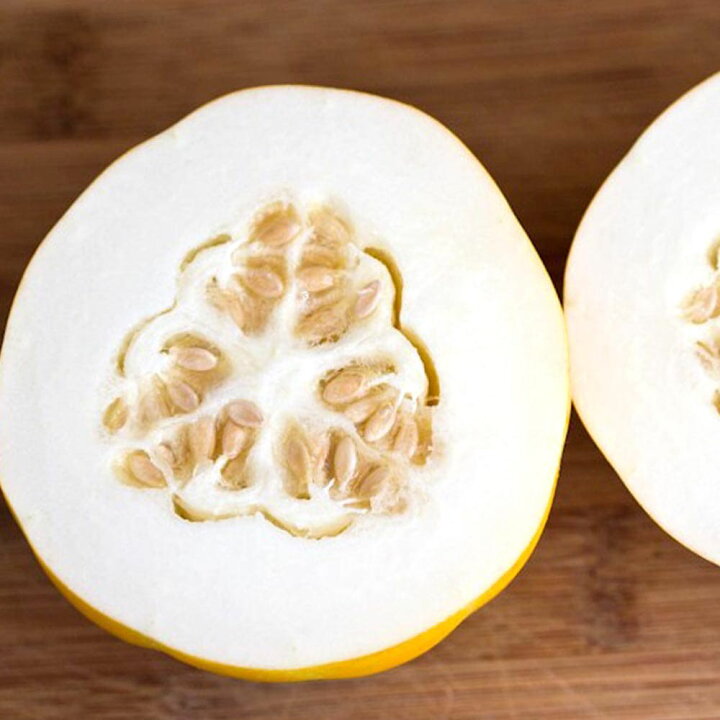 楽天市場 送料無料 黄まくわメロン 品種 コロナ 接ぎ木苗 野菜 接木苗9cmポット 2個セット ベランダ 露地栽培 めろん Melon 果実 舐瓜 エメラルド クラウン プリンス 果樹苗 果物 植物販売のｉｔａｎｓｅ楽天市場店