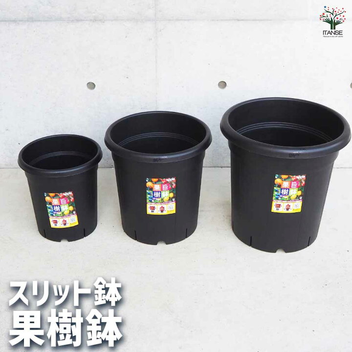 楽天市場】【送料無料】植木鉢 果樹鉢【お得な培養土セットもあります  