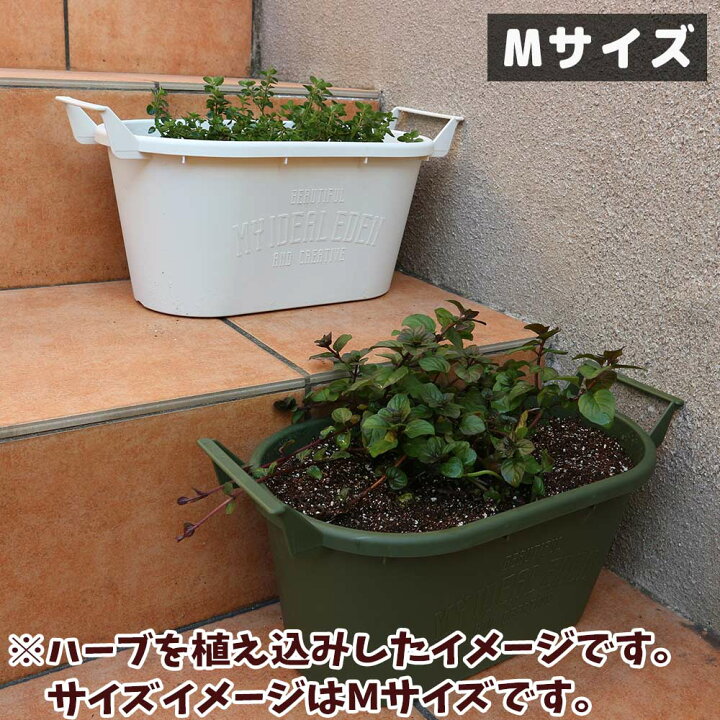 楽天市場 送料無料 持ち運び簡単 かわいい取っ手付きプランター 資材セット プランター Lサイズ カーキ1個 培養土12l 鉢底石5l 即出荷 コンテナ 資材 植木鉢 野菜 果樹 ハーブ 観葉植物 花 草花 植木 栽培用 プランター 根はり鉢 家庭菜園 ガーデニング 植物 楽天市場 送料無料 持ち運び簡単 かわいい取っ手付きプランター 資材セット プランター Lサイズ カーキ1個 培養土12l 鉢底石5l 即出荷 コンテナ 資材 植木鉢 野菜 果樹 ハーブ 観葉植物 花 草花 植木 栽培用 プランター 根はり鉢 家庭菜園 ガーデニング 植物