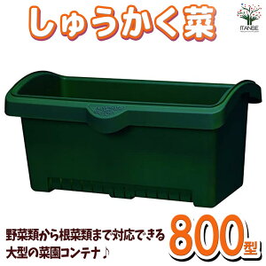 ySSԑSi10OFFzイؐFF_[NO[ prőIׂ锫 pi  800^ 1  |bg v^[ ؉ ƒ؉ K[fjO  [