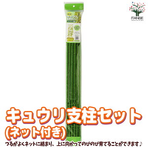 ySSԑSi10OFFzLExZbg ( lbgt )  1 x イ A c Lk Lяk LE イ     [