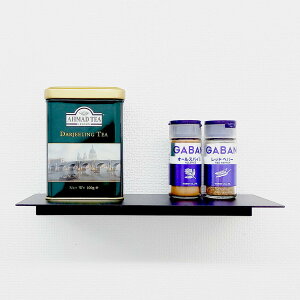  bN EH[VFt x[VbN25  ubNW250 D100G R[h tBMA   [gACA ITC IWi ω׏d 1.5kg diy Lb` gC fBXvC