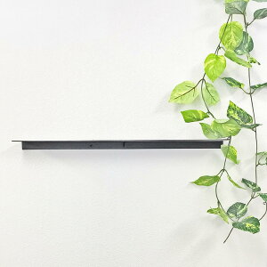  bN EH[VFt x[VbN60  ubNW600 D100 G R[h tBMA  [gACA ITC IWi ω׏d 1.5kg Lb` gC ʏ ACA