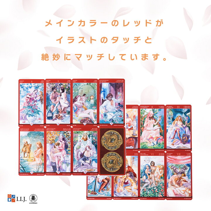 楽天市場 タロットカード 78枚 ウェイト版 タロット占い タロット オブ セクシャルマジック Tarot Of Sexual Magic 日本語解説書付き 送料無料 クロノスゲート 楽天市場店