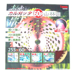 IWOOD@Jb^@`bv\[@RїpEpinj@255×60P@FNo.98137 ACEbh