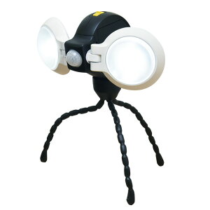 LEDǂłZT[Cg_uidr2^CvjFASL-092 #2754CebNXETV